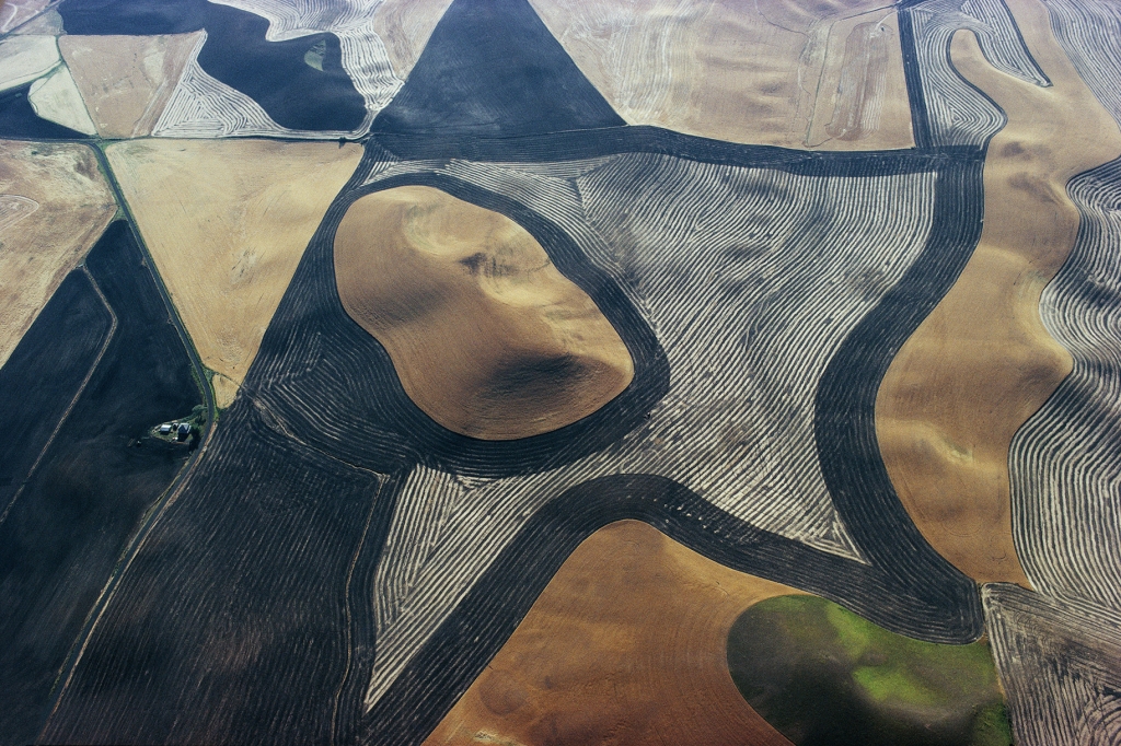 Georg Gerster, Wheat and peas, USA, 1979
