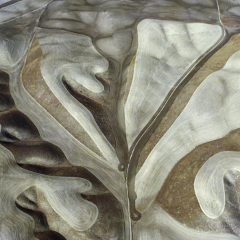 Georg Gerster, Dryland farming, California, USA, 1977