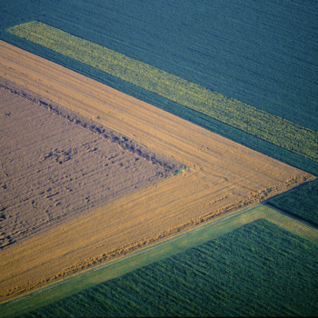 Georg Gerster, Harvesting rape, Hungary, 2009