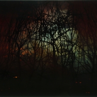 Sonja Braas, Forest Fire, 2006