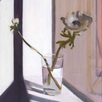 Andrea Muheim, Zwei AnemonenIV, 2019