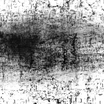 Roger Humbert, Untitled (Photogram #29), 1973