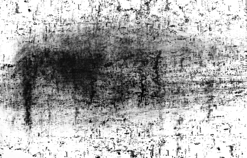 Roger Humbert, Untitled (Photogram #29), 1973
Photogram on Baryta Paper
41 x 59,5 cm
Unique