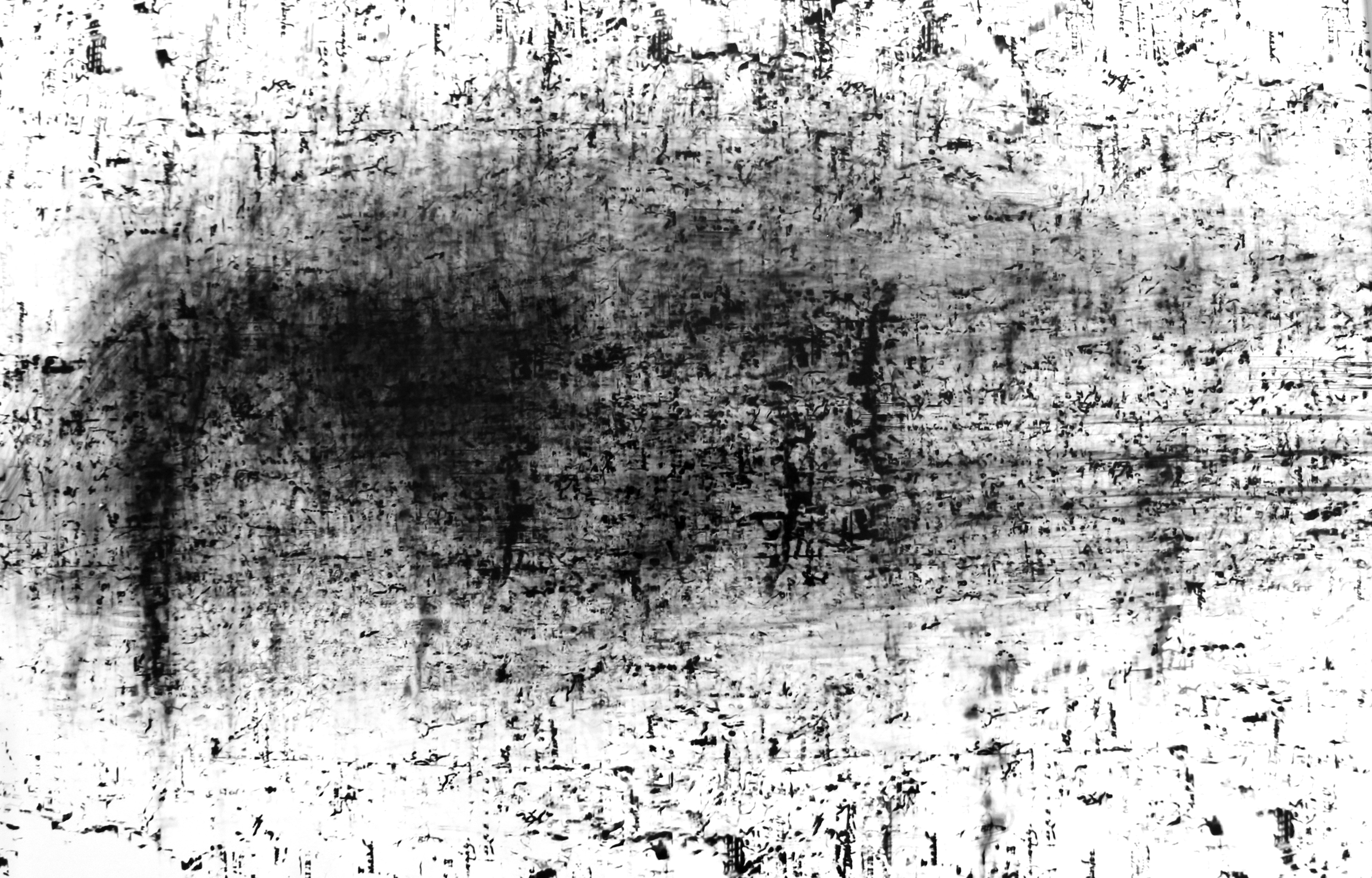 Roger Humbert, Untitled #24, 1973
Photogram on Baryta paper
41 x 59,5 cm
Unique