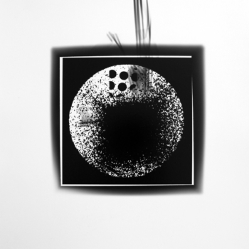 Roger Humbert, Untitled (Photogram #33), 2001