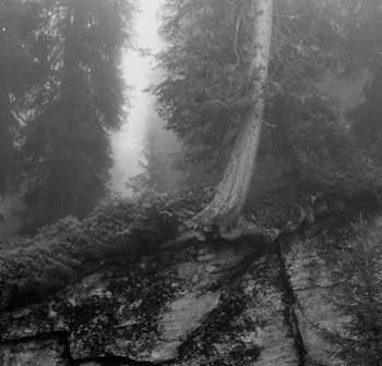 Christian Vogt, Vals 2, 2004