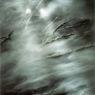 Sonja Braas, Blizzard, 2006