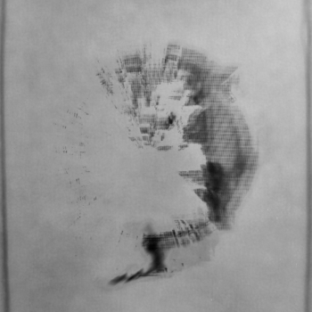 Roger Humbert, Untitled (Photogram #40), 2002-2003