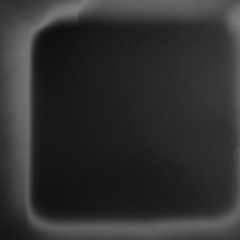 Roger Humbert, Untitled (Photogram #41), 2003