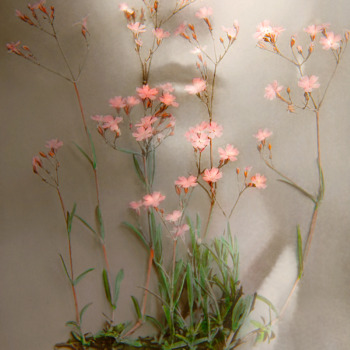 Sonja-Maria Schobinger, Antemis Nobilis no 3, 2019,