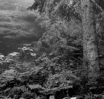 Christian Vogt, Vals 5, 2004