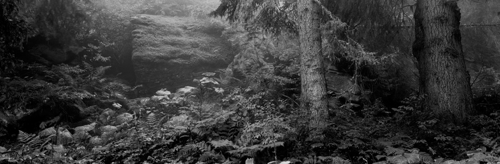 Christian Vogt, Vals 5, 2004
Pigmented ink on paper
95 x 112 cm
Edition of 5