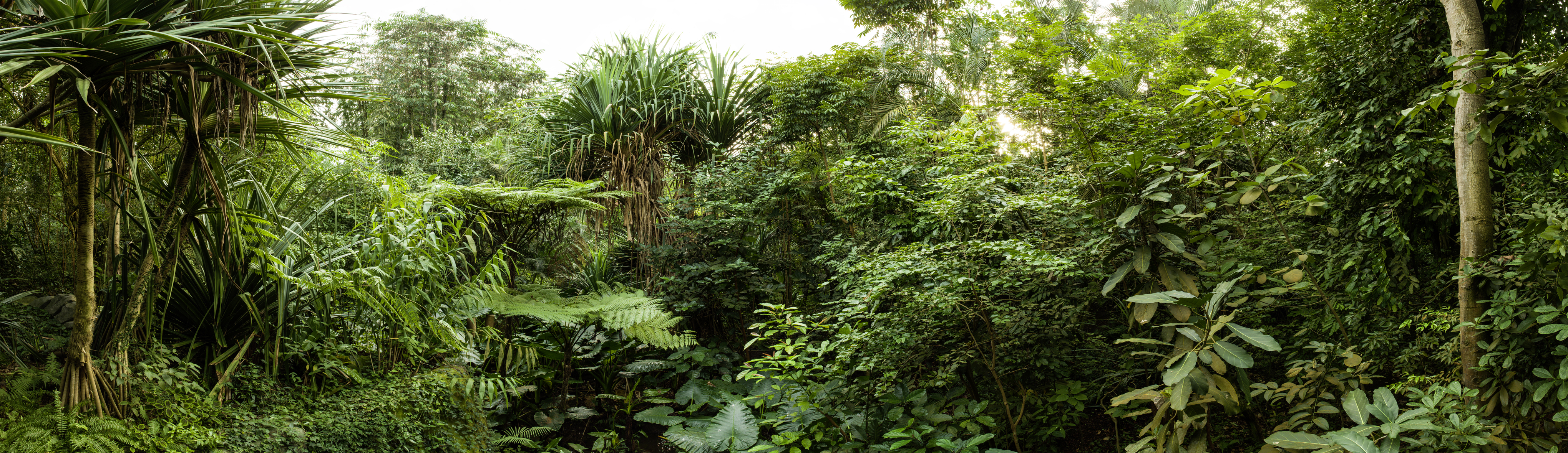 Peter Hebeisen, Some Kind of Nature III, 2015
Pigment print on Archival paper
110 x 380 cm