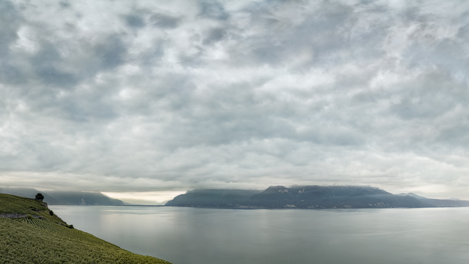 Peter Hebeisen, St. Saphorin, Homeland, 2016 – ongoing
Pigment Print on Hahnemühle
81 x 148 cm (image) / Edition of 5
168 cm x 289 cm / Edition of 3