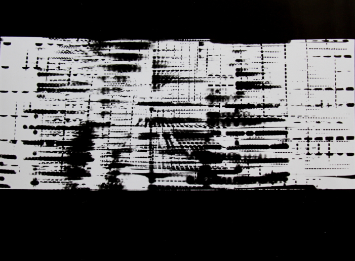 Roger Humbert, Untitled (Photogram #8), 1960
Photogram on Baryta paper
27 x 36 cm
Unique