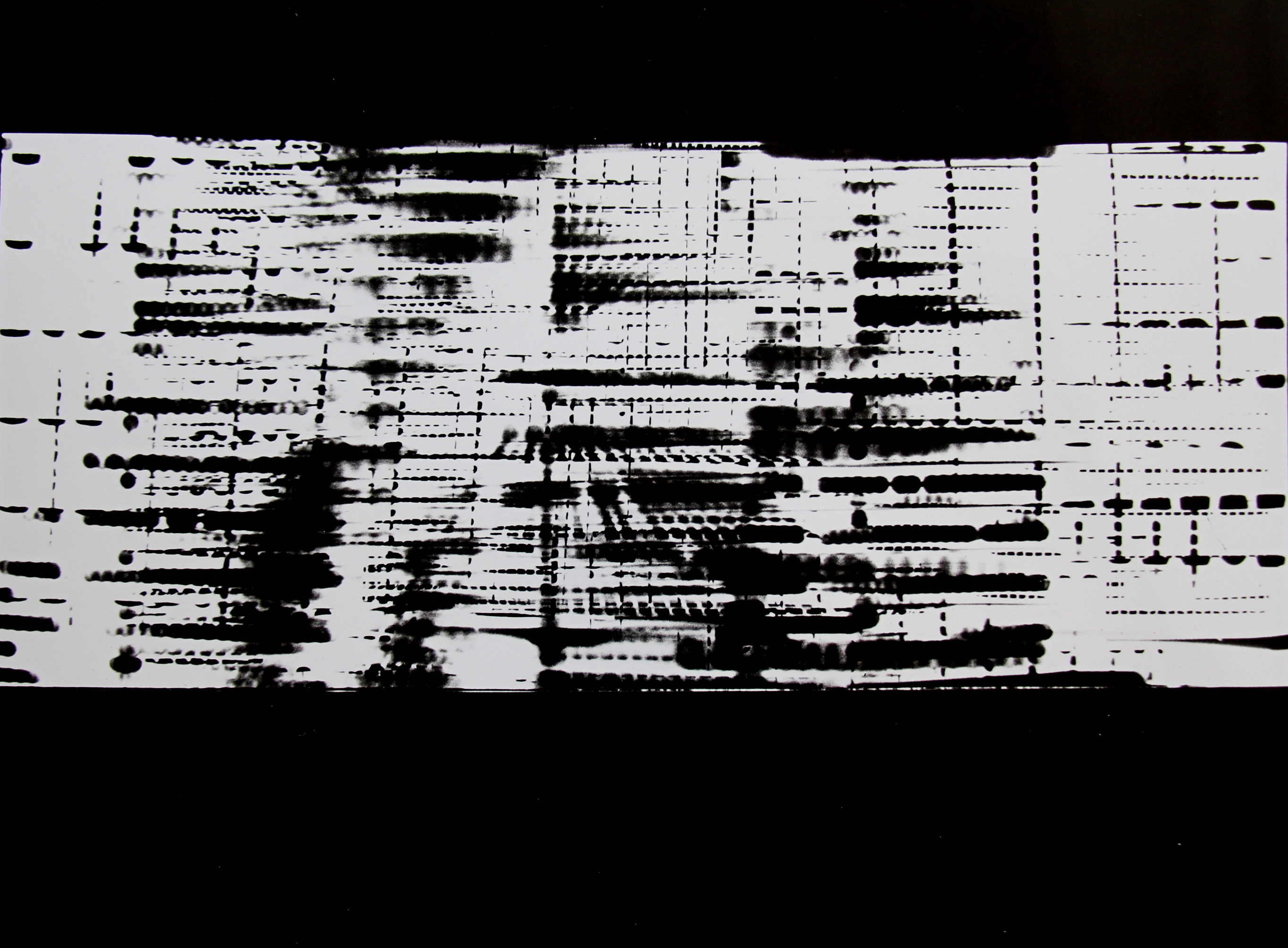Roger Humbert, Untitled (Photogram #8), 1960
Gelatin silver print on baryt paper
27 x 36 cm
Unique