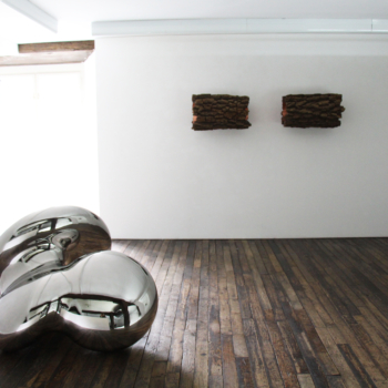 Installation view, Carlo Borer, Beyond Fiction