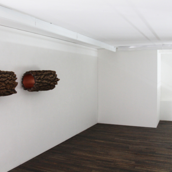 Installation view, Carlo Borer, Beyond Fiction
