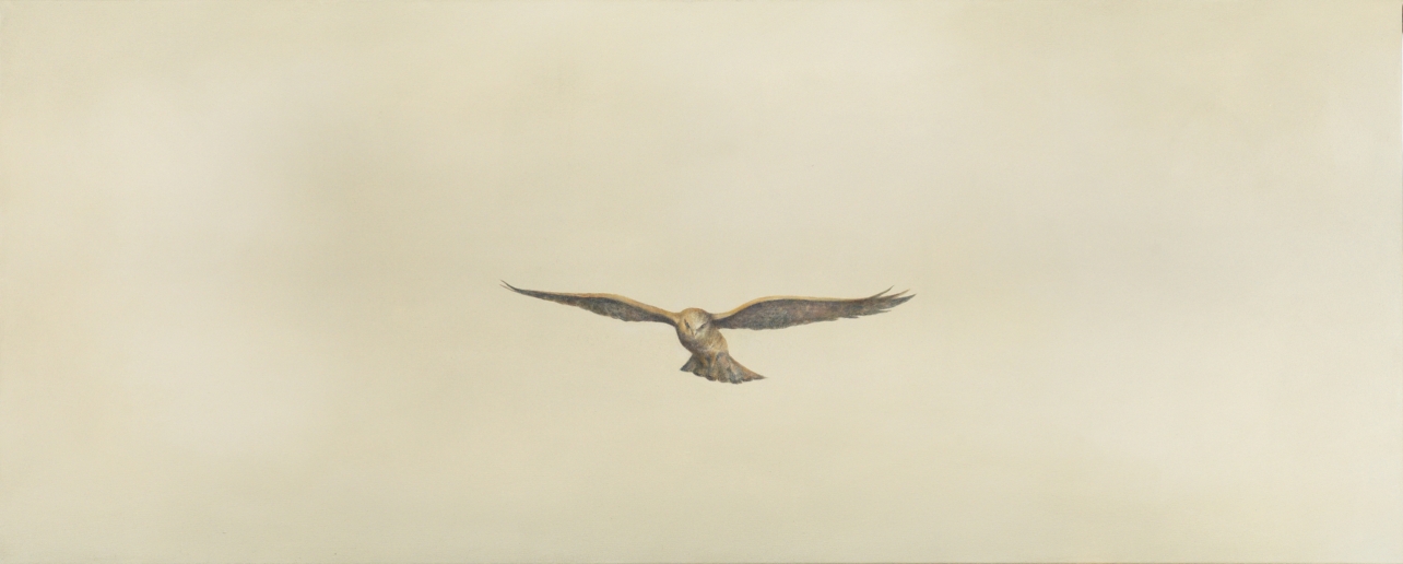 Angela Lyn, aviator, 2019
Oil on canvas
68 x 170 cm