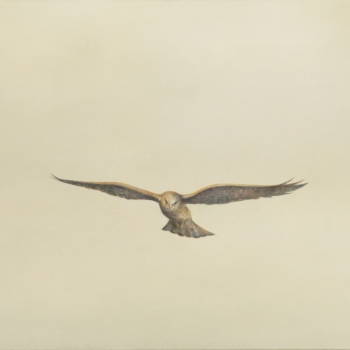 Angela Lyn, aviator, 2019