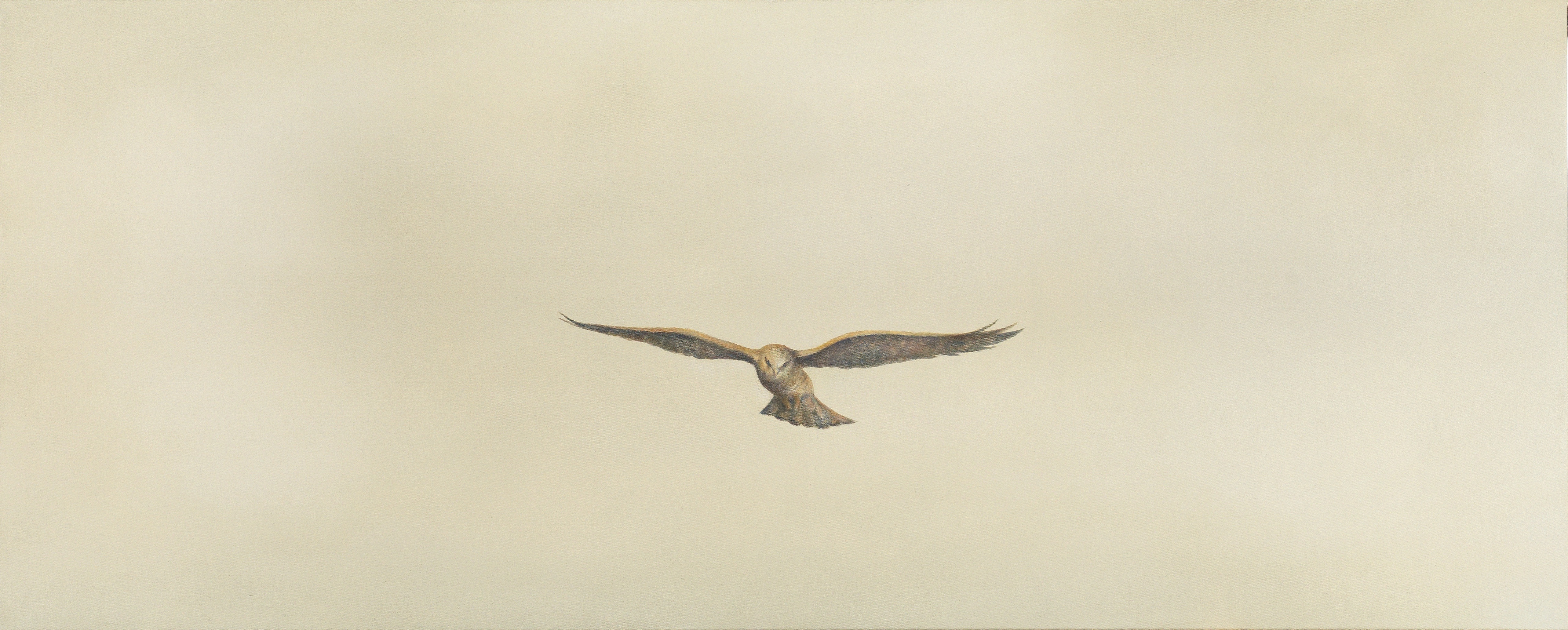 Angela Lyn, aviator, 2019
Oil on canvas
68 x 170 cm