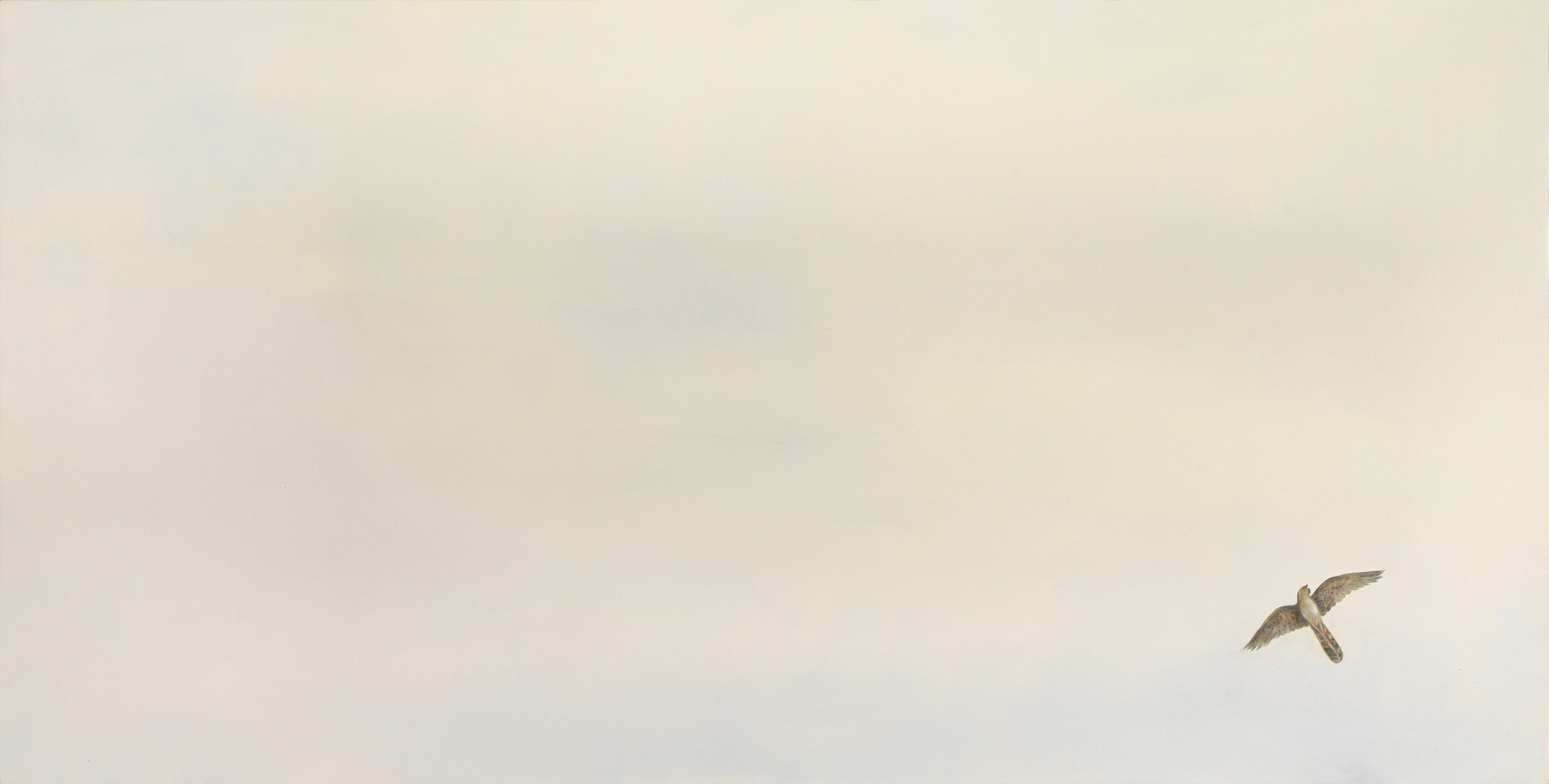Angela Lyn, circling ever II, 2019
Oil on canvas
100 x 200 cm