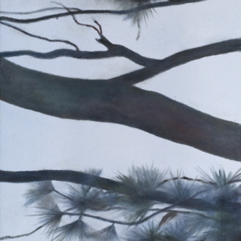 Angela Lyn, connector, 2019