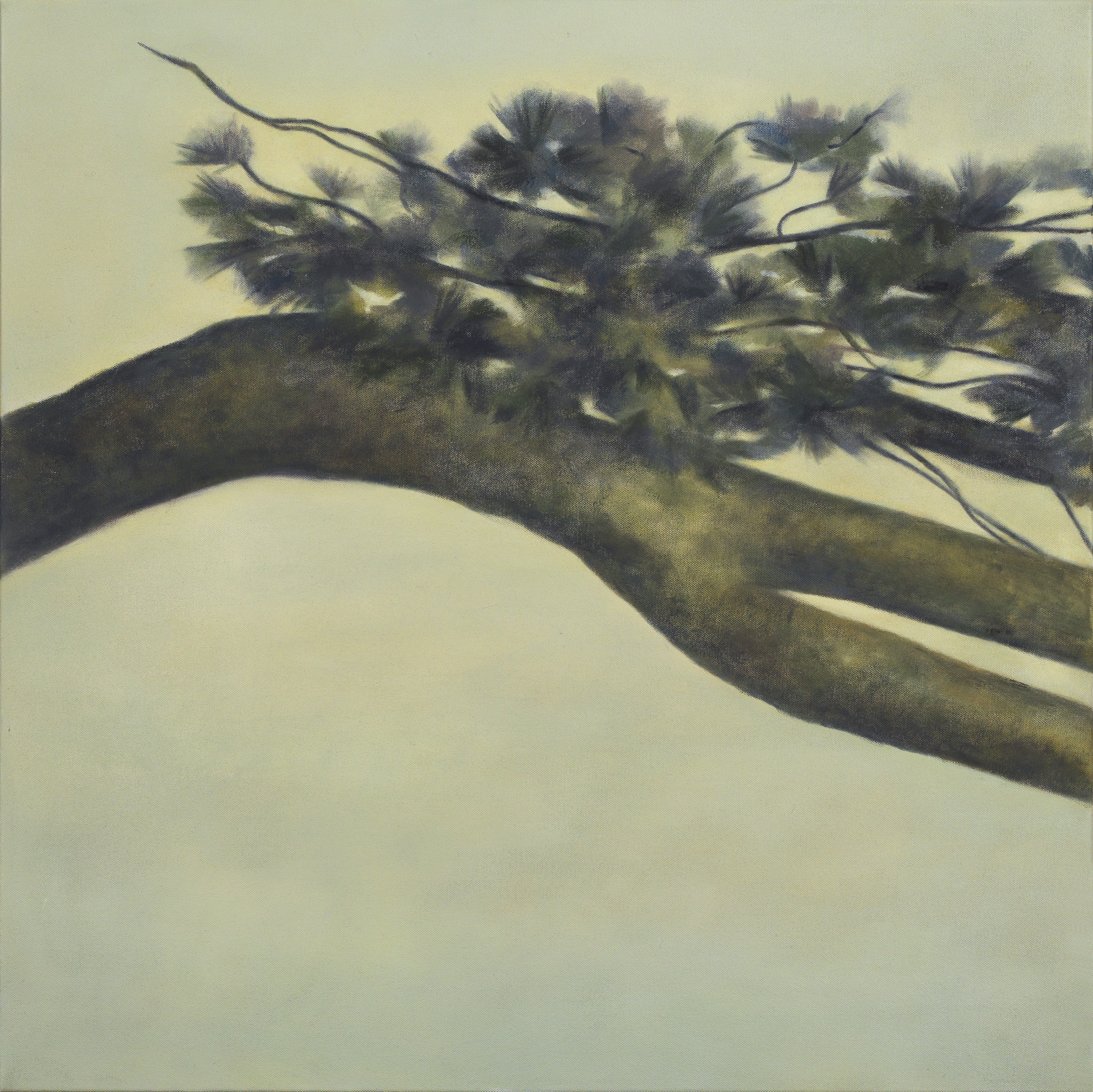 Angela Lyn, now is the time I, 2019
Oil on canvas
68 x 68 cm
