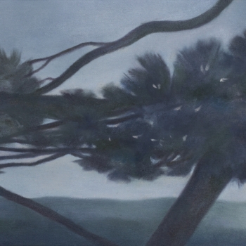 Angela Lyn, passage II, 2019