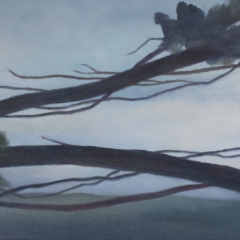 Angela Lyn, passage I, 2019