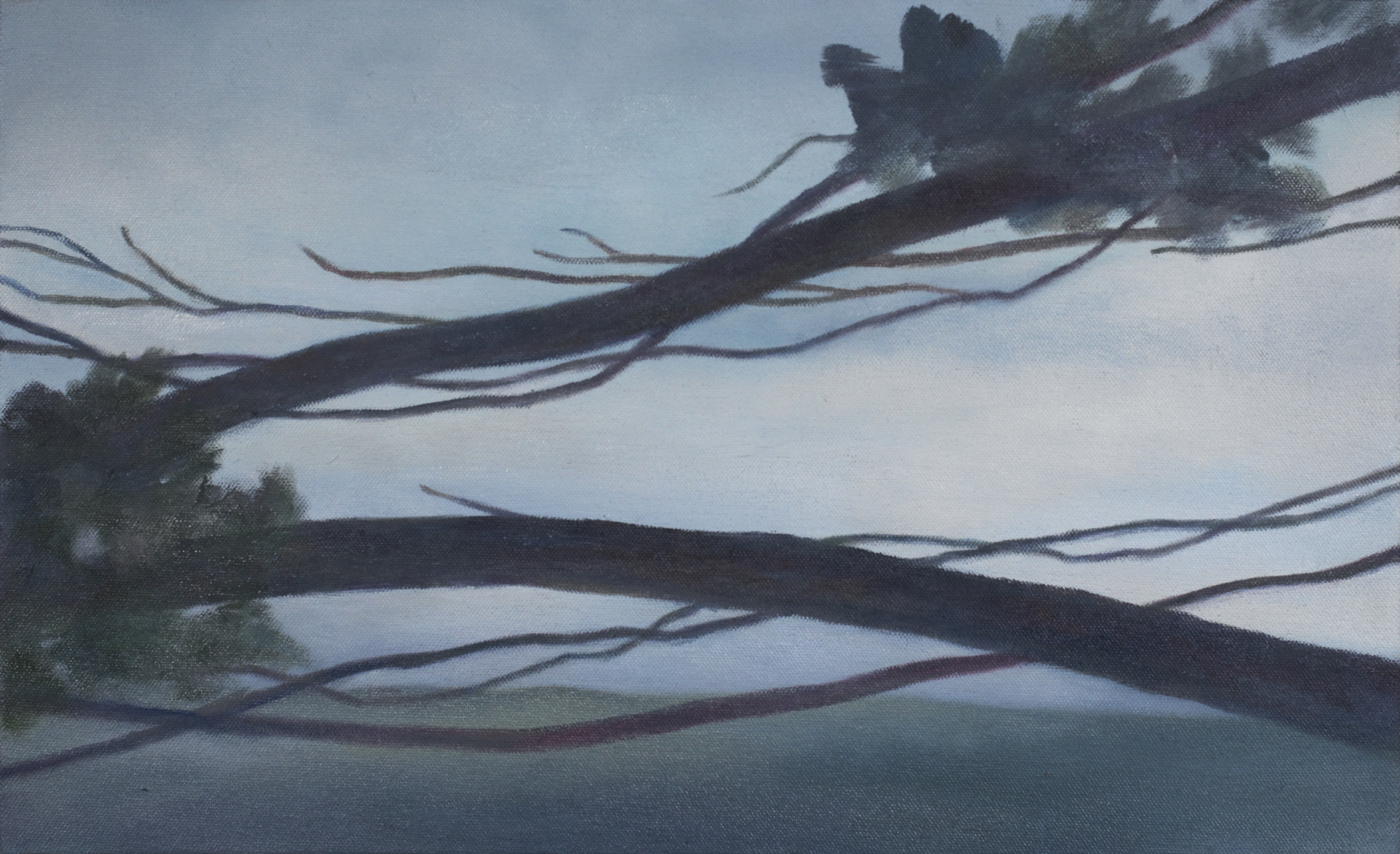 Angela Lyn, passage I, 2019
Oil on canvas
26 x 42 cm