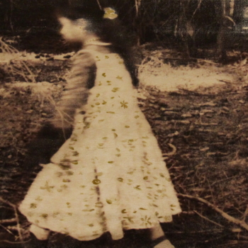 Annelies Štrba, Shereen, 2006