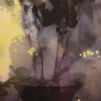 Collaboration Annelies Štrba and Adrian Schiess, Summerending 07, 2011
