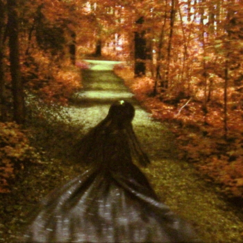 Annelies Štrba, NYIMA 375, 2008