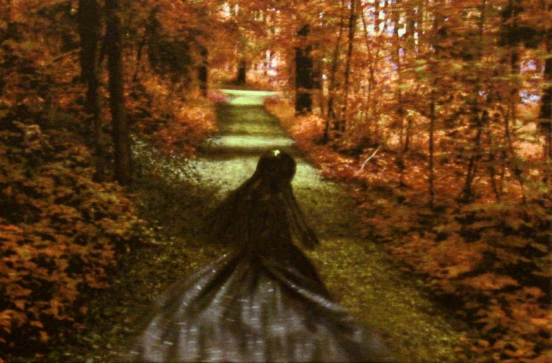 Annelies Štrba, NYIMA 375, 2008
Pigment print on canvas
34 x 50 cm
Edition of 6