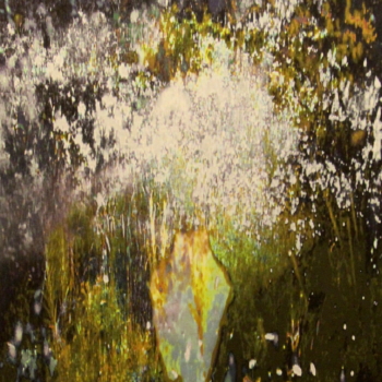 Annelies Štrba, NYIMA 458, 2011