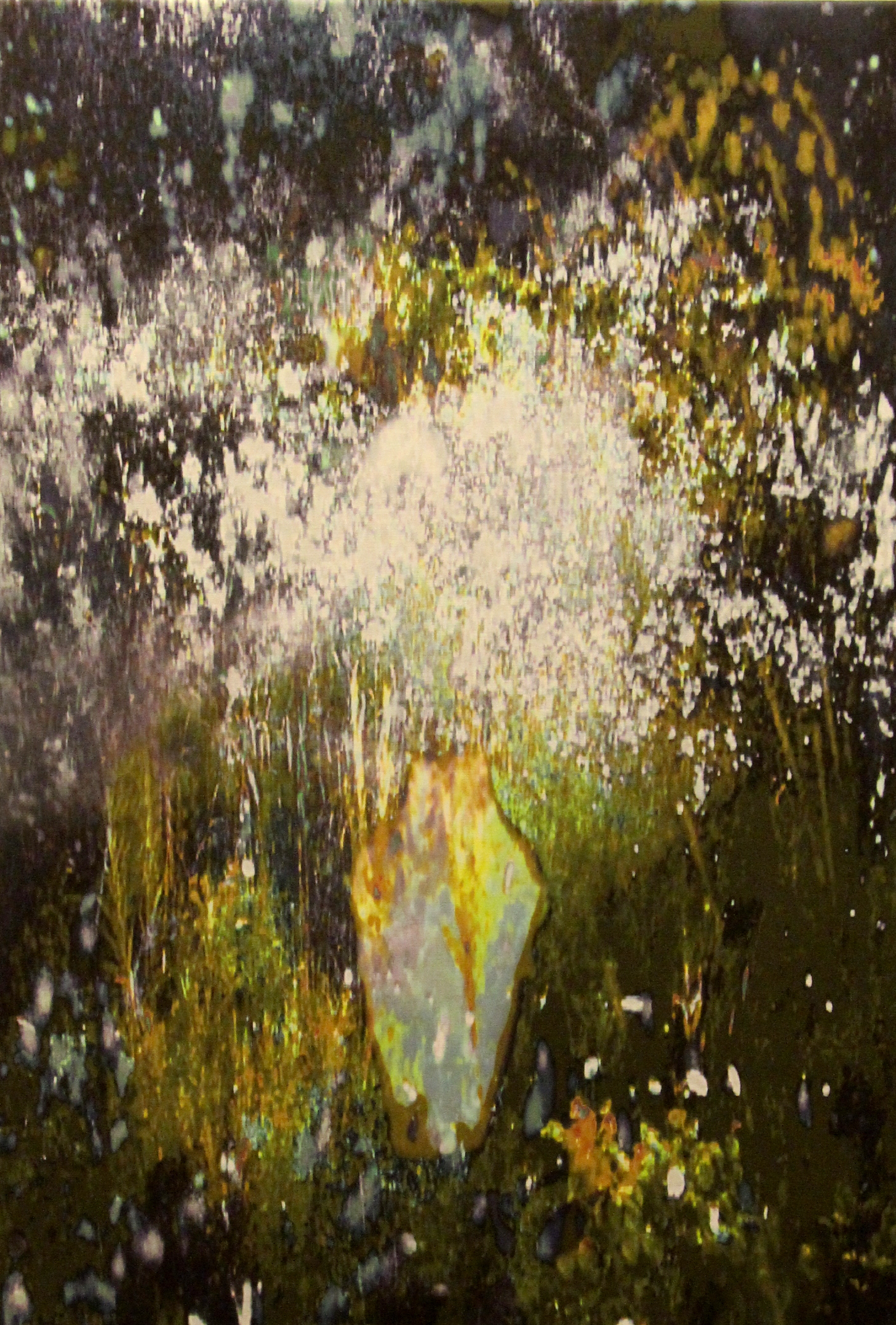 Annelies Štrba, NYIMA 458, 2011
Pigment print on canvas
100 x 70 cm
Edition of 6