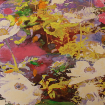 Annelies Štrba, NYIMA 503, 2012