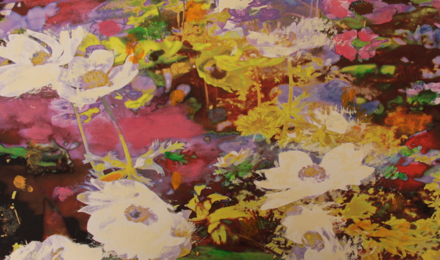 Annelies Štrba, NYIMA 503, 2012
Pigment print on canvas, mixed media
30 x 50 cm
Unique