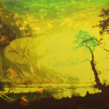 Annelies Štrba, NYIMA 534, 2012