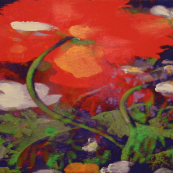 Annelies Štrba, NYIMA 571, 2012