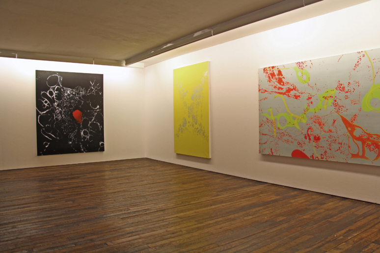 Installation view, Metamemory, Fabian & Claude Walter Galerie
