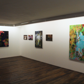 Installation view, ICONS, Fabian & Claude Walter Galerie