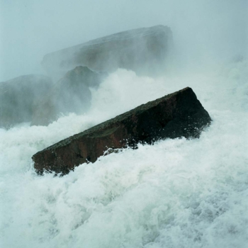 Sonja Braas, Forces 01, 2002