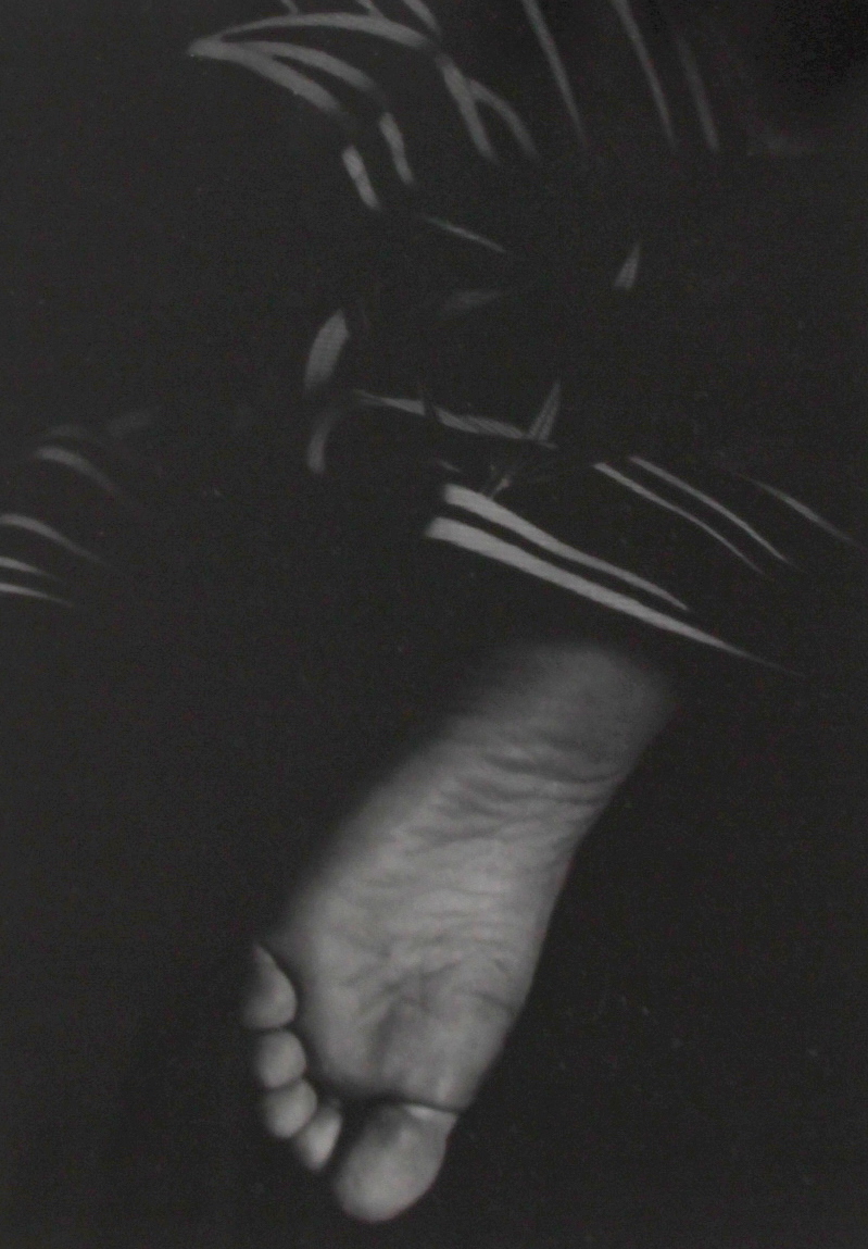 Balthasar Burkhard (CH, 1944-2010)
Fuss, 1988
Couver book “OMNIA”
Vintage, Gelatine silverprint on Baryte 
paper. Framed with passepartout,
24,5 x 17,2 cm, image.
