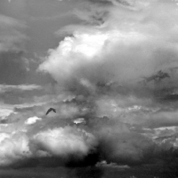 Balthasar Burkhard, Wolke mit Vogel, 2003