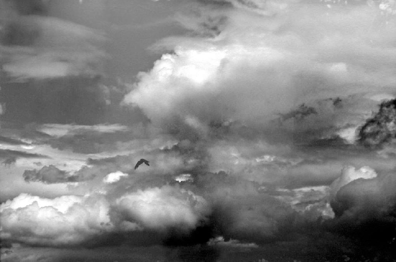 Balthasar Burkhard, Wolke mit Vogel, 2003
Gelatin silver print on baryt paper, iron frame
110 x 167 cm
Edition of 7 