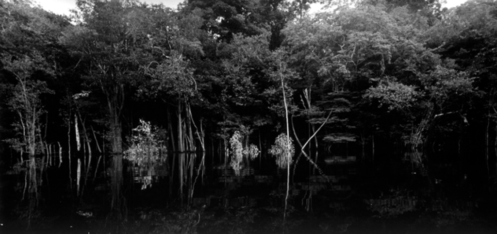 Balthasar Burkhard, Rio Negro 01, 2002
Gelatin silver print on baryt paper, iron frame
125 x 250 cm
Edition of 7
