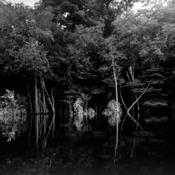 Balthasar Burkhard, Rio Negro 01, 2002 Balthasar Burkhard, Rio Negro 01, 2002
