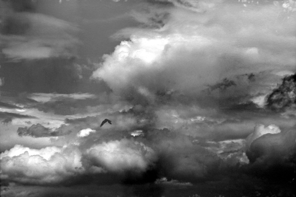 Balthasar Burkhard, Wolke mit Vogel, 2003
Gelatin silver print on baryt paper, iron frame
110 x 167 cm
